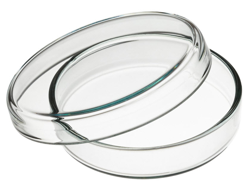 Plásticos y Desechables